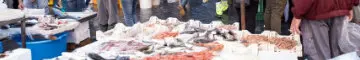 Street food Catania, mercato Catania